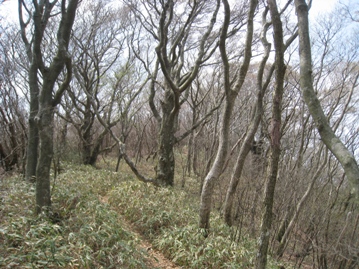 c0077338_6275375.jpg