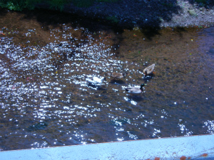 a0135840_9474980.jpg