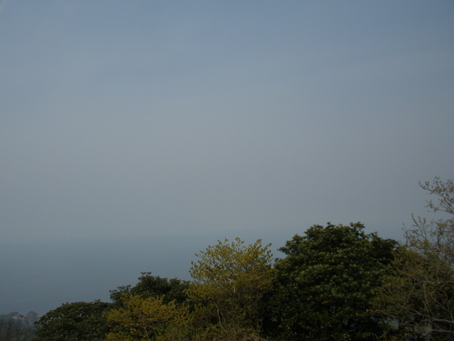 a0289641_8225485.jpg