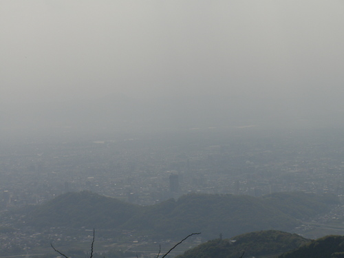 a0289641_8242473.jpg