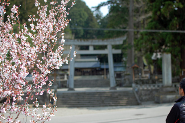 d0164443_216530.jpg