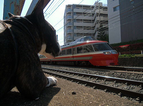 f0094843_21362838.jpg