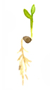 a0242944_1441249.gif