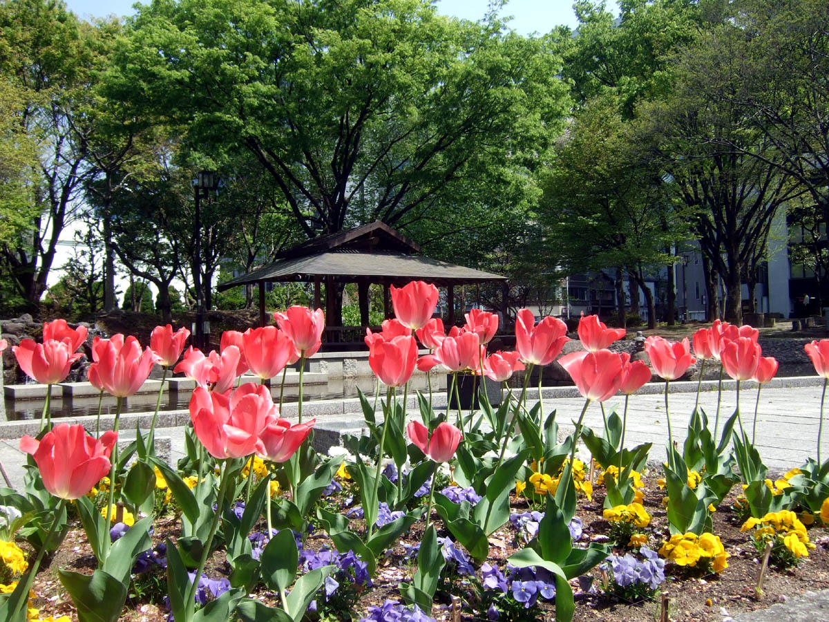 a0082347_19331721.jpg