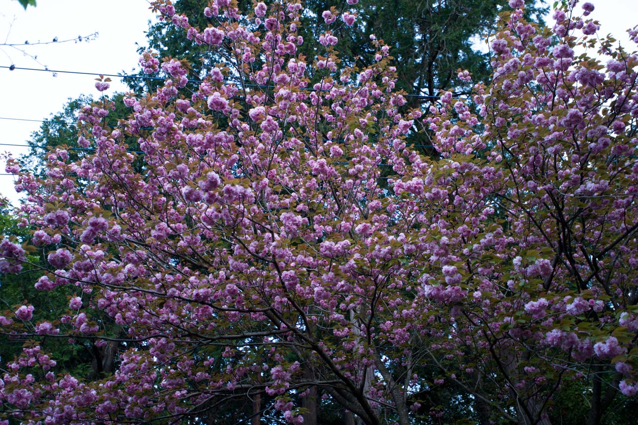 b0023047_2365864.jpg
