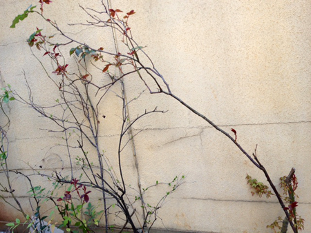c0223257_15151722.jpg