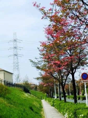 c0097558_123583.jpg