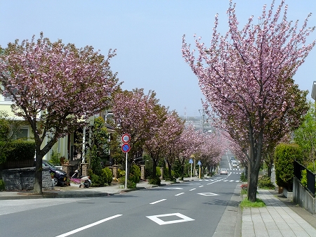 c0097558_1241013.jpg
