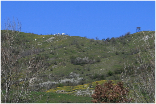 f0077159_1850247.jpg