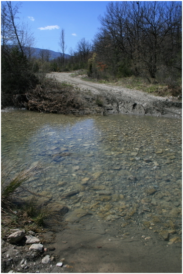 f0077159_18502675.jpg