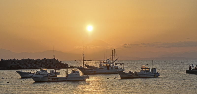 a0150260_14398.jpg