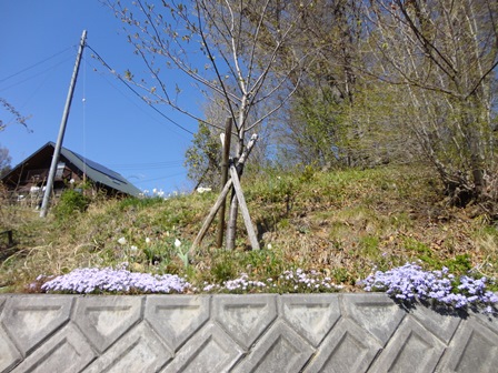 d0152765_061724.jpg