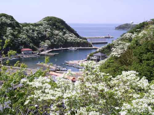 f0207669_123743.jpg