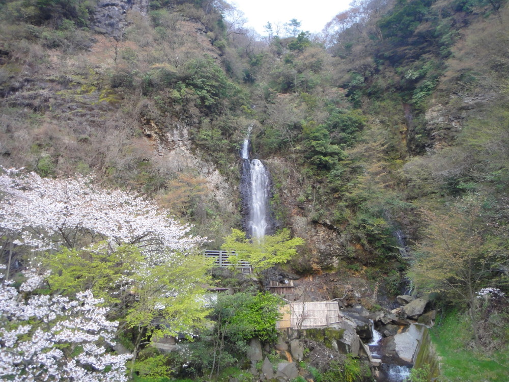 b0078370_10161274.jpg