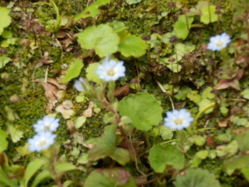 e0292172_2037842.jpg