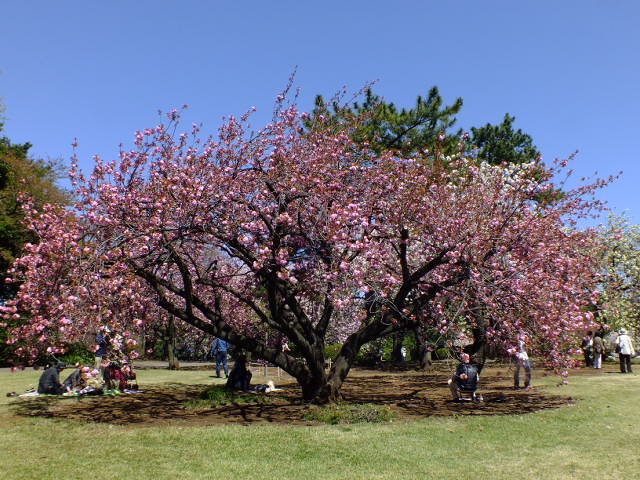 e0145782_18444030.jpg