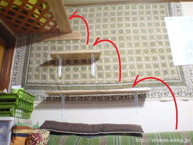 a0159490_16571726.jpg