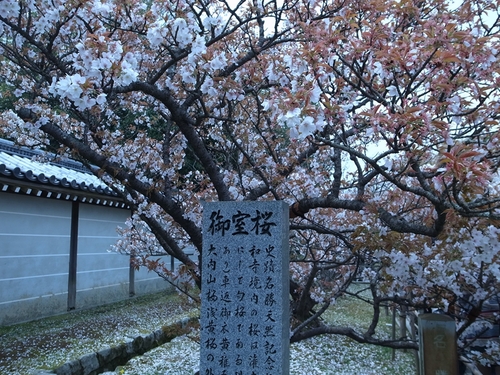 e0271890_0573221.jpg