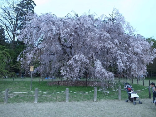e0271890_11041.jpg