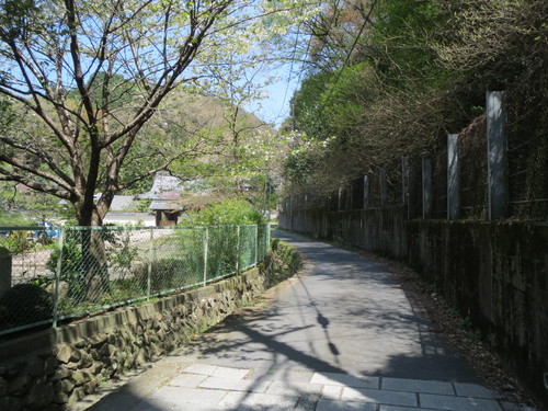 e0111793_16554237.jpg