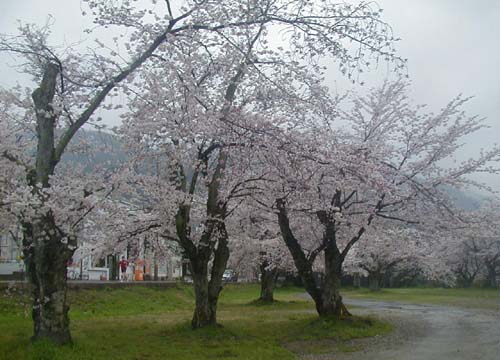d0053294_1153731.jpg
