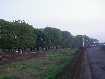e0048994_1235585.jpg