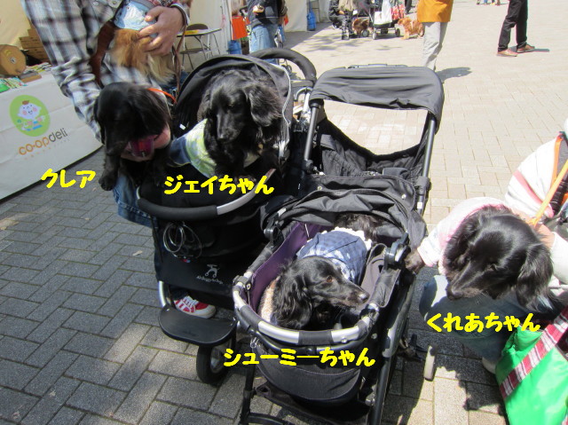 d0098295_22423766.jpg