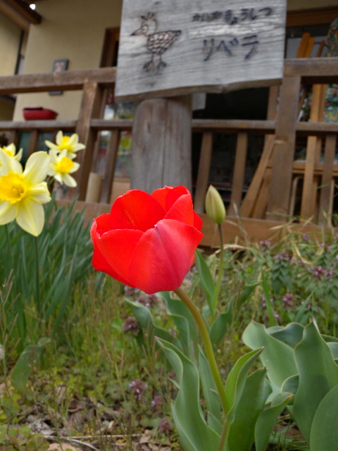 a0199297_19203749.jpg