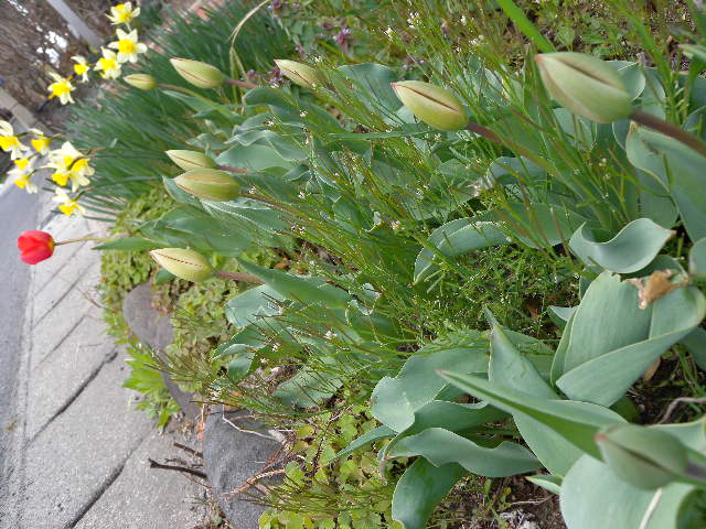 a0199297_19445399.jpg