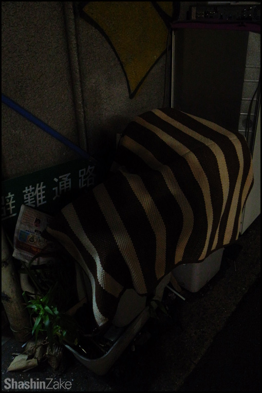 c0102003_171330100.jpg