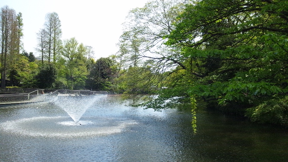 d0260803_20231125.jpg