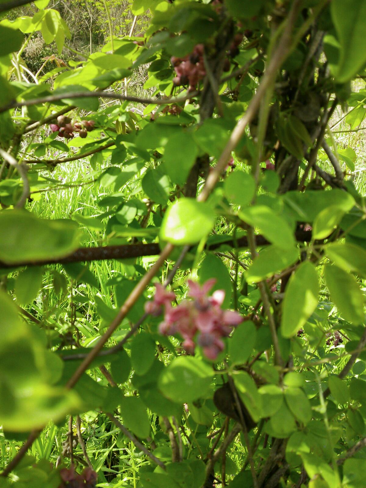 c0280206_19254421.jpg