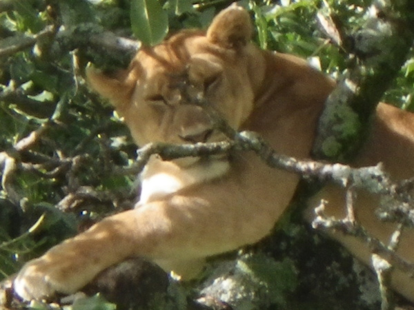 d0018208_9423170.jpg