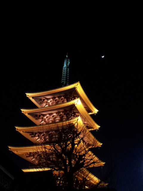 b0115215_9545714.jpg