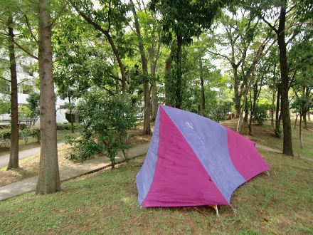 e0224118_2101748.jpg