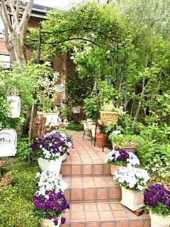 c0204121_209375.jpg