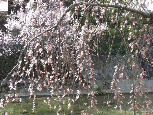 c0087023_13595869.jpg