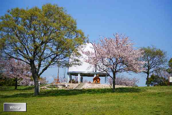c0227134_22291469.jpg