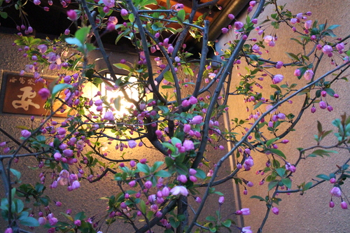 d0033734_21115112.jpg