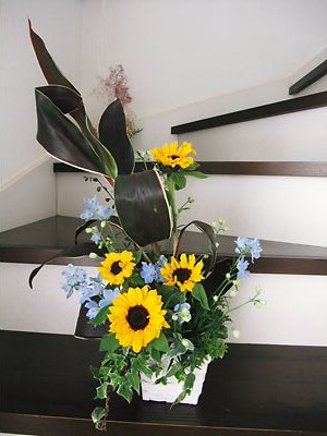 b0165139_23374820.jpg