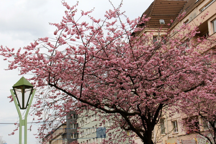 c0153740_2215742.jpg