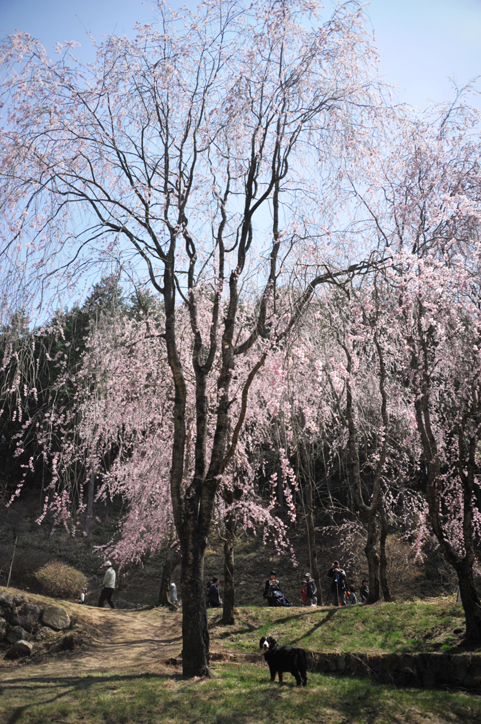 b0075541_21451145.jpg