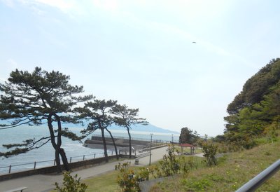 a0142343_1163781.jpg