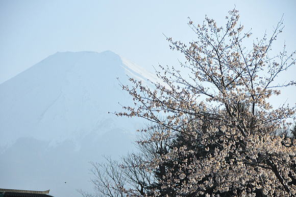 f0094843_13122243.jpg