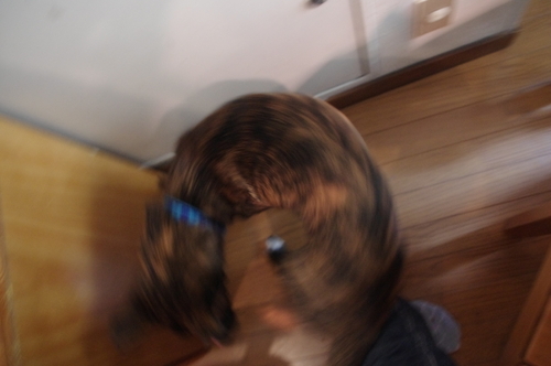 c0266644_1201124.jpg