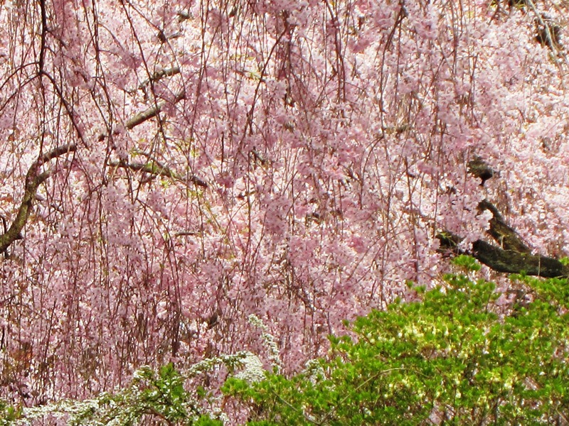 b0289649_2034997.jpg