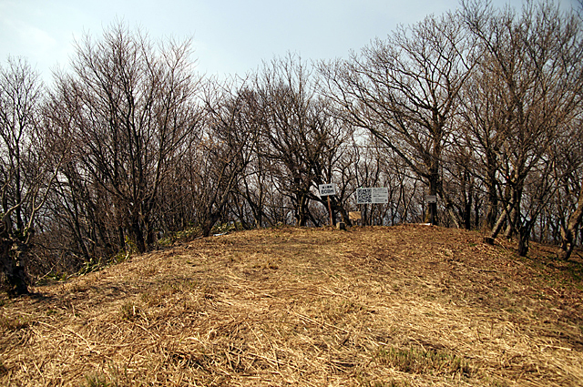 f0214649_1049588.jpg