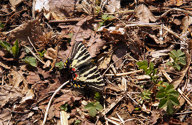 f0214649_1221970.jpg