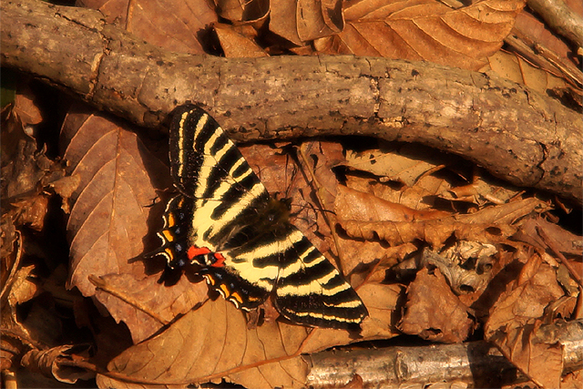 f0214649_12372724.jpg