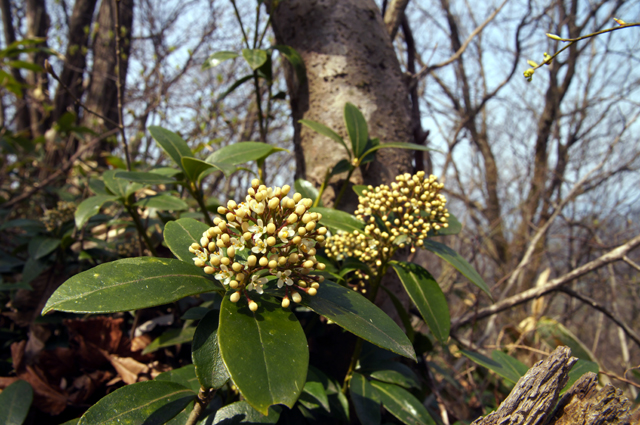 f0214649_12573086.jpg